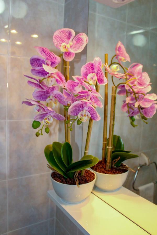 Sweet Dreams Apartman Plitvička Jezera Kültér fotó
